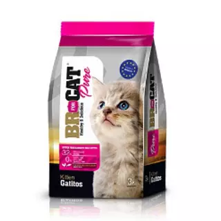 Br For Cat Gatitos