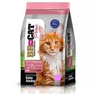 Br For Cat Salmon