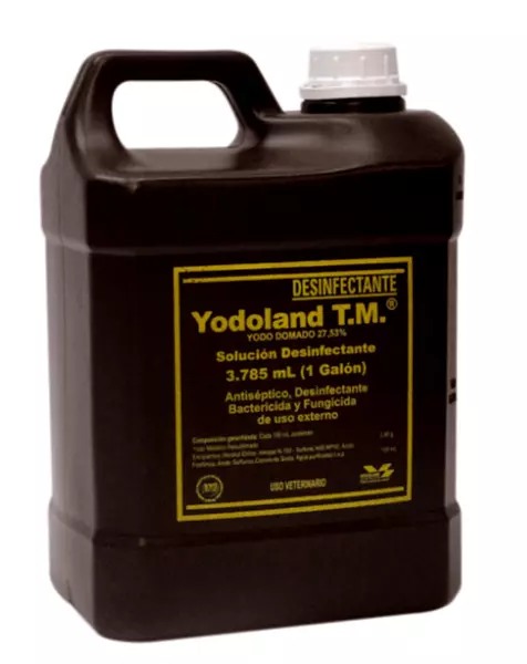 Yodoland