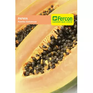Papaya