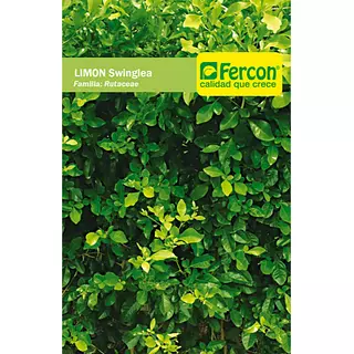Limon Swingla