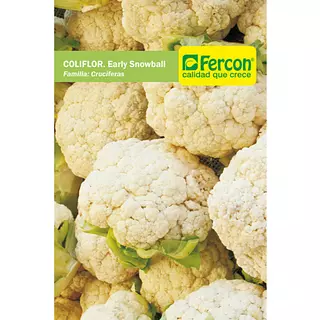 Coliflor