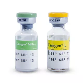 Canigen Triple