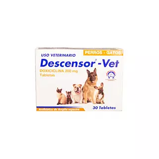 Descensor