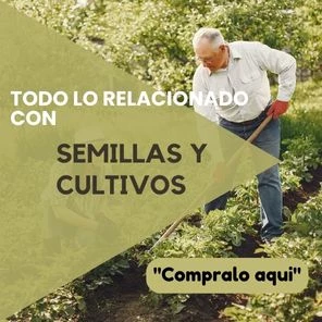 semillas